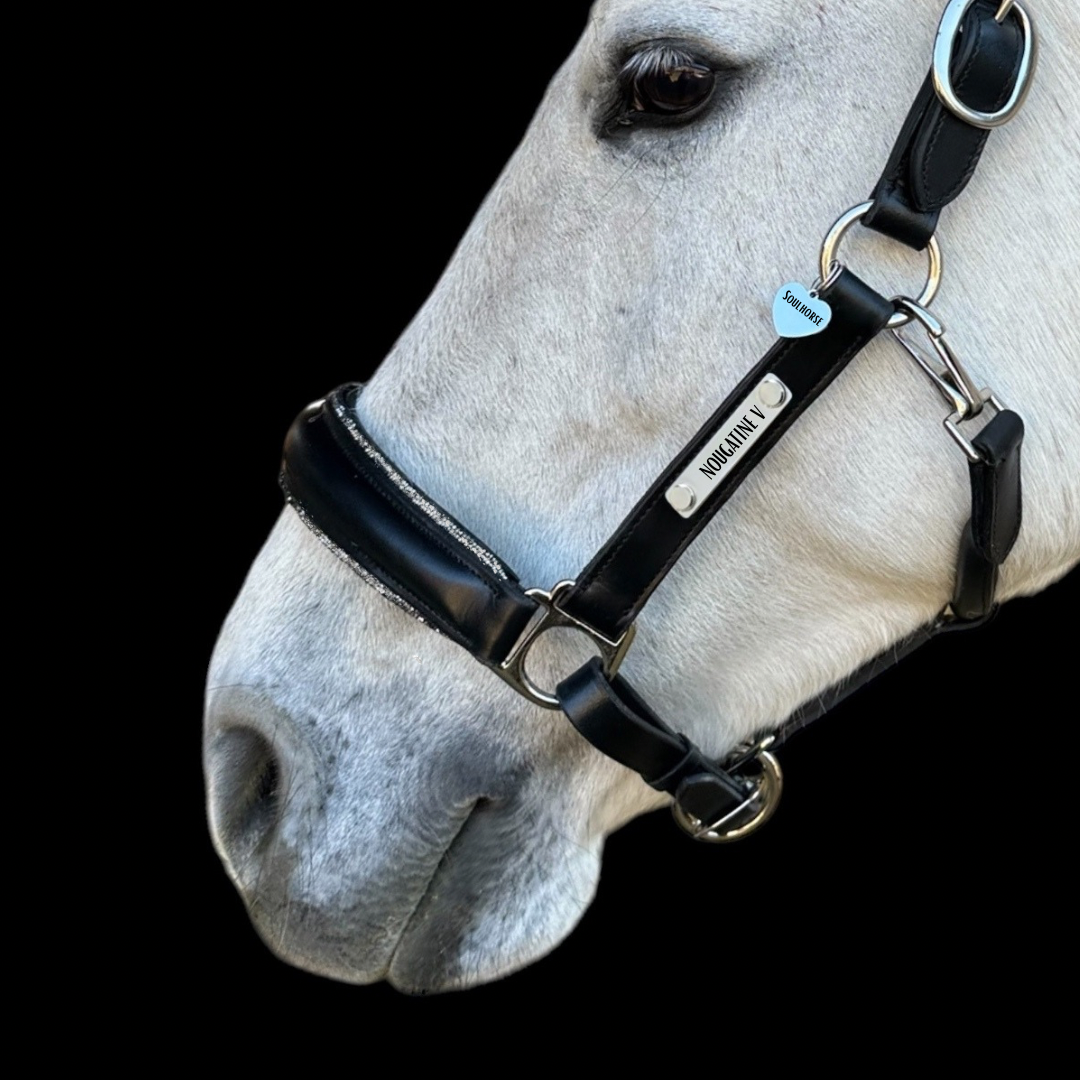 Lederhalfter S-Line Glamour mit individueller Gravur