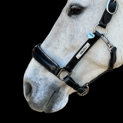 Lederhalfter S-Line Glamour mit individueller Gravur