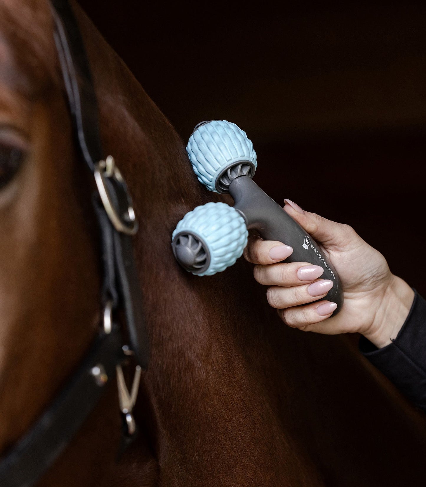 Health + Care Comfort Creator