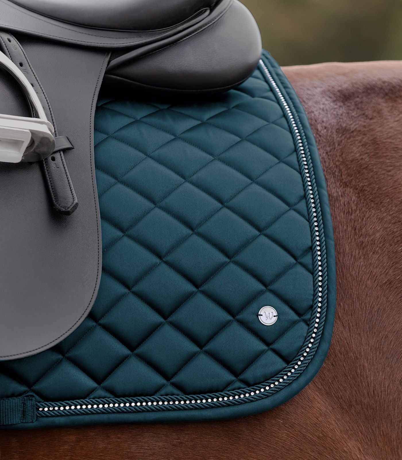 Schabracke Nepal Petrol