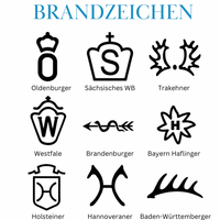 Boxentafel Brandzeichen Metallic Lasergravur