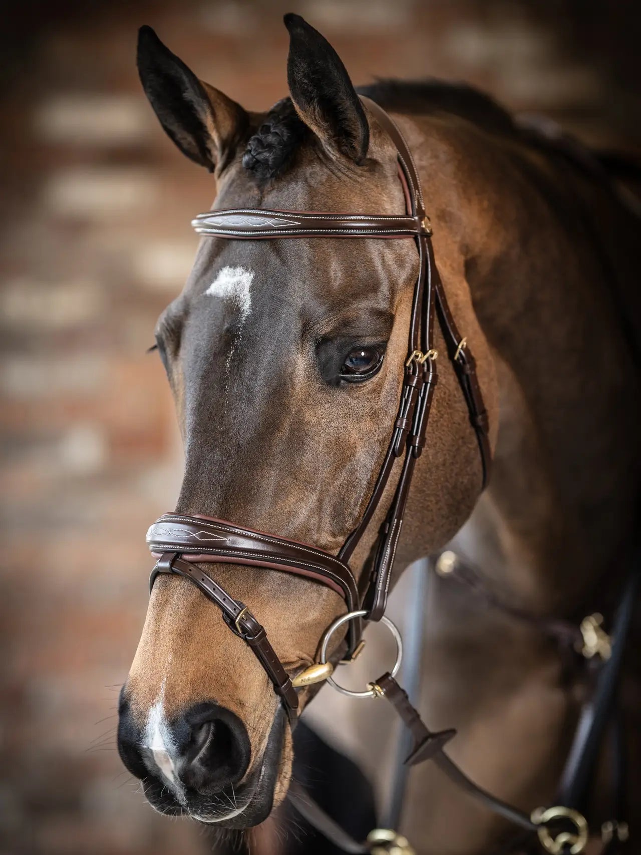 Kudos Competition Flash Bridle