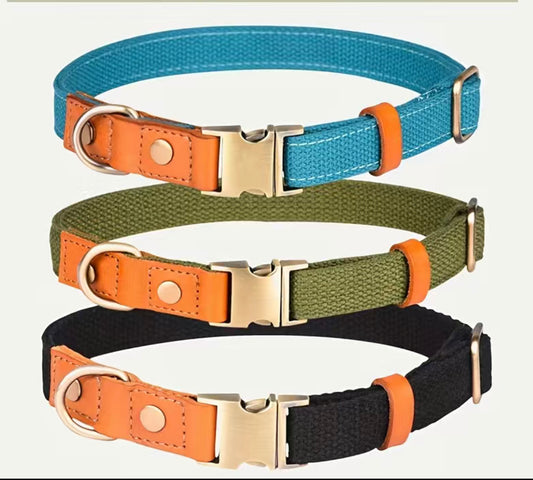 Hundehalsband Cool Dog