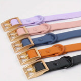 Hundehalsband Waterproof