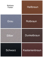 Individuelles Biothane Halsband Daily mit Gravur