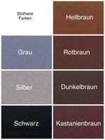 Individuelles Biothane Halsband-Leinenset mit Gravur