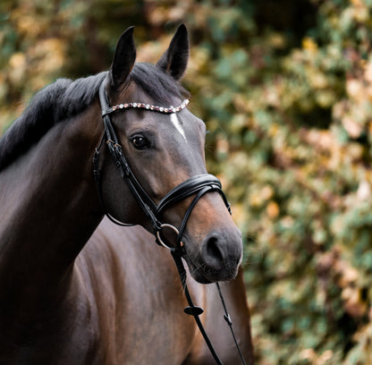 Stirnriemen Burgundy