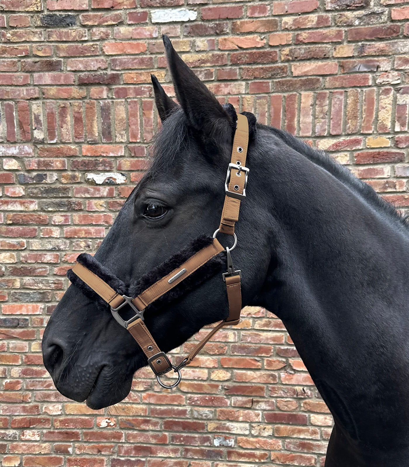 Halfter Paris Cappuccino