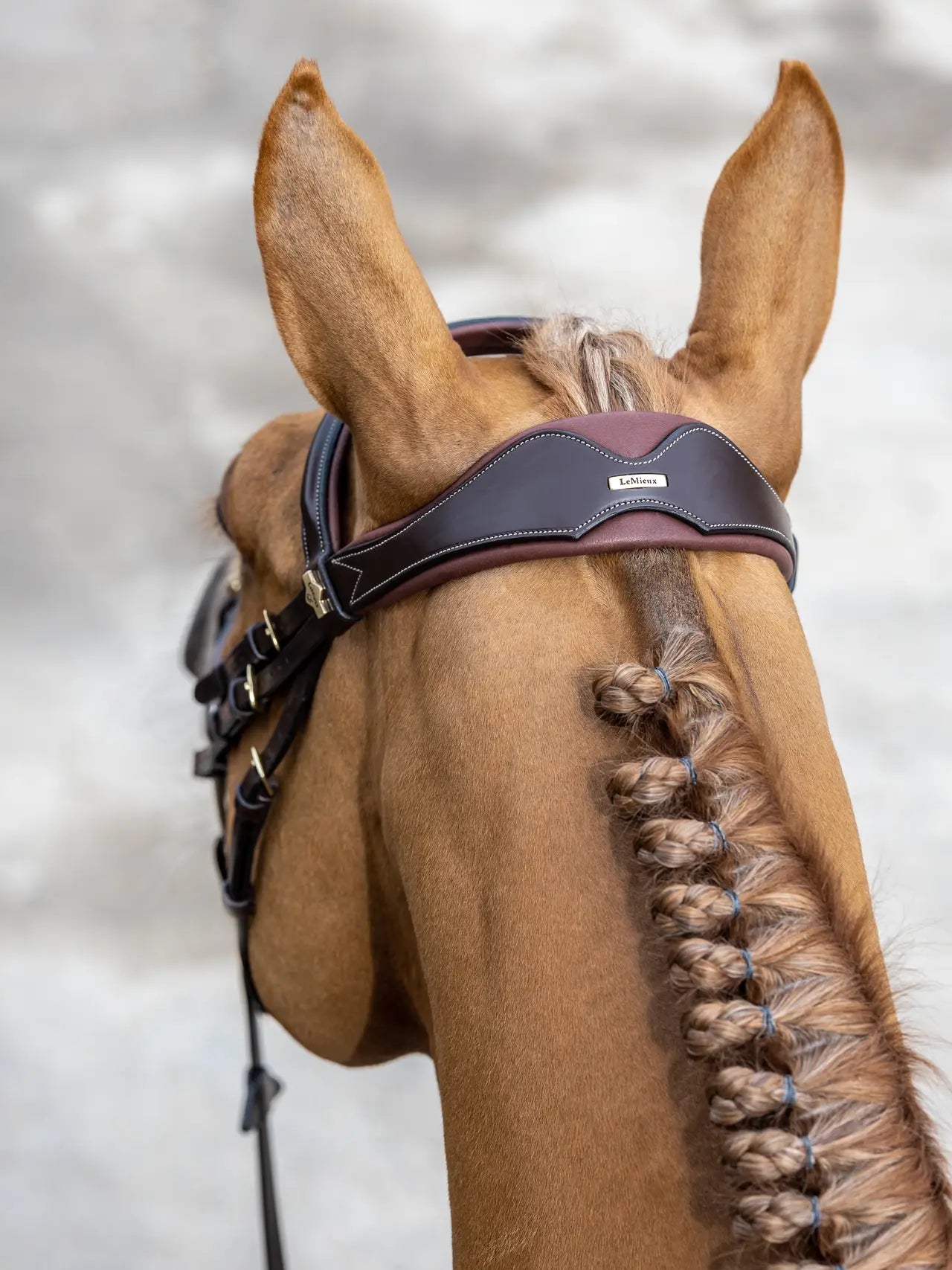 Kudos Competition Flash Bridle
