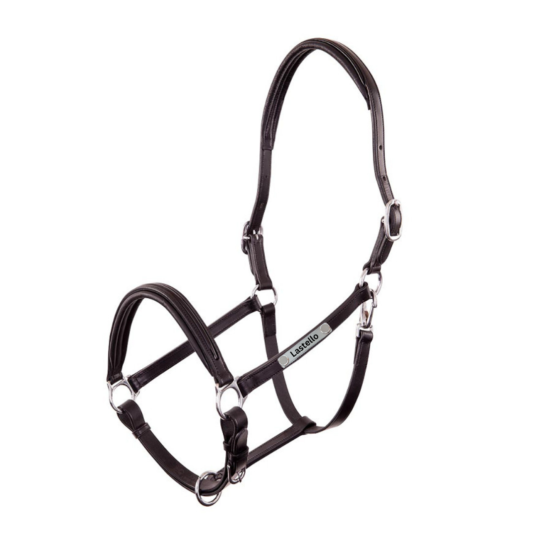 Lederhalfter Florennes Lack mit individueller Gravur