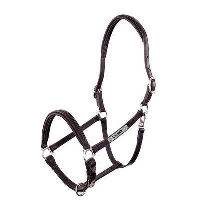 Lederhalfter Florennes Lack mit individueller Gravur