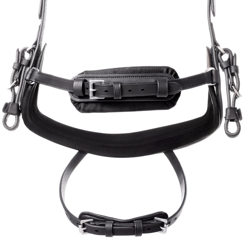 Trense Caliano geöltes Leder