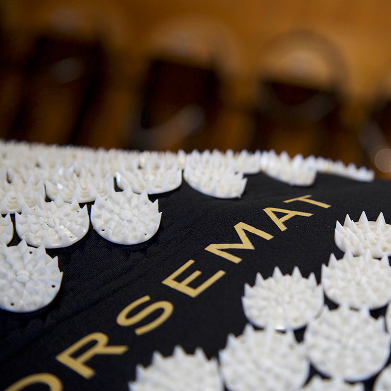 Accuhorsemat Cooler mit Akupressurmatten