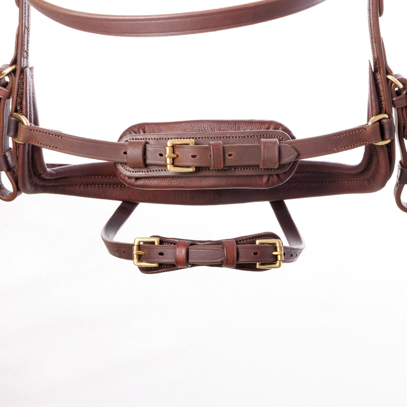 Trense Caliano geöltes Leder