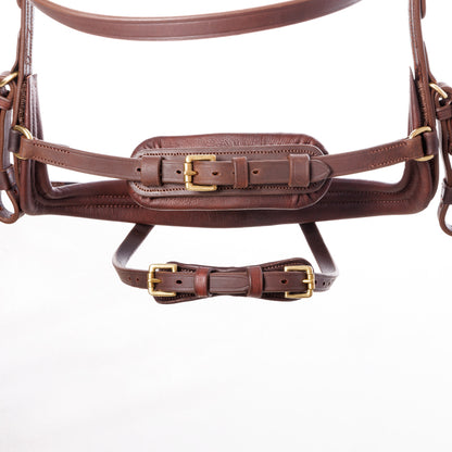 Trense Caliano geöltes Leder