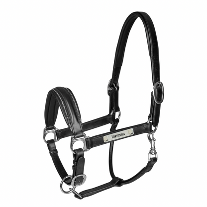 Lederhalfter S-Line Glamour mit individueller Gravur