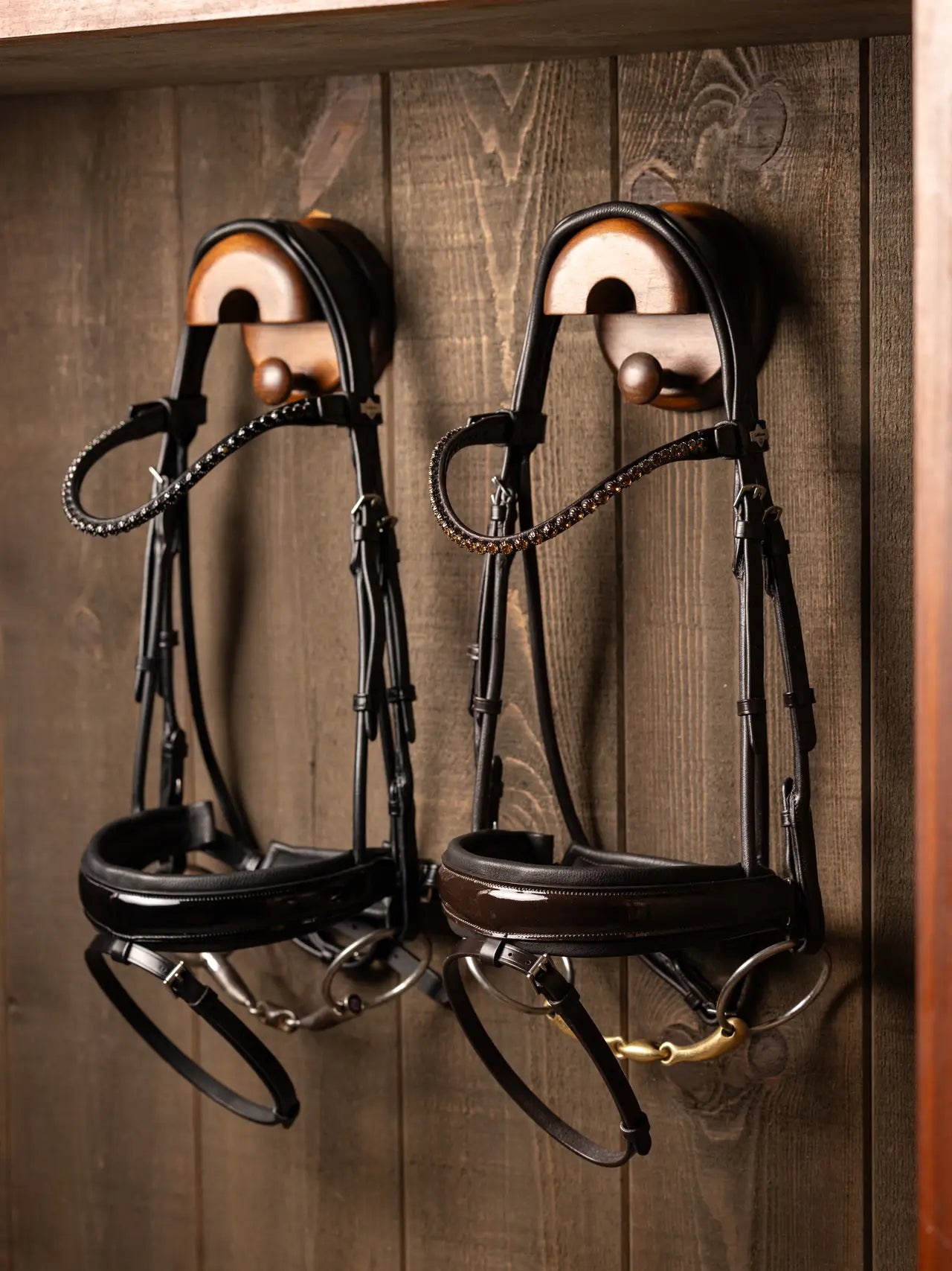 Dressurtrense Kudos Patent Braun