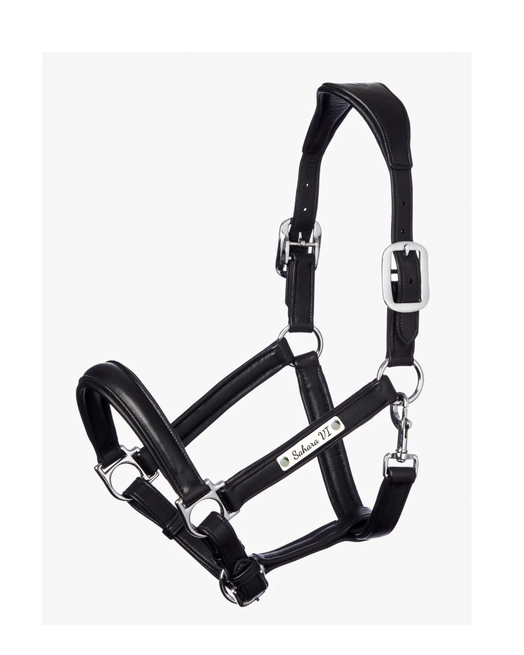 LeMieux Lederhalfter extra Soft mit individueller Gravur