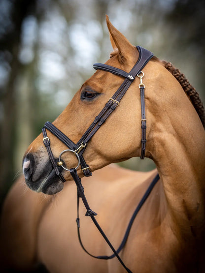 Kudos Work Bridle