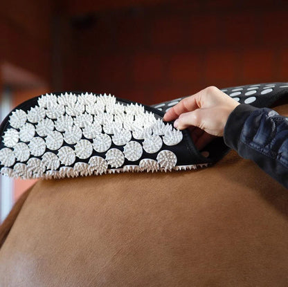 Accuhorsemat Cooler mit Akupressurmatten
