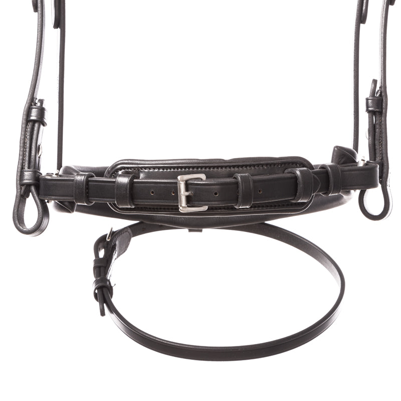 Dressurtrense Zora Lack