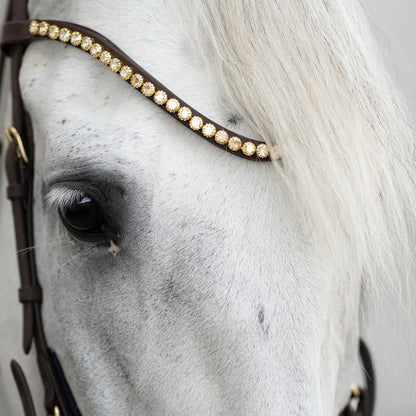 Trense Caliano geöltes Leder