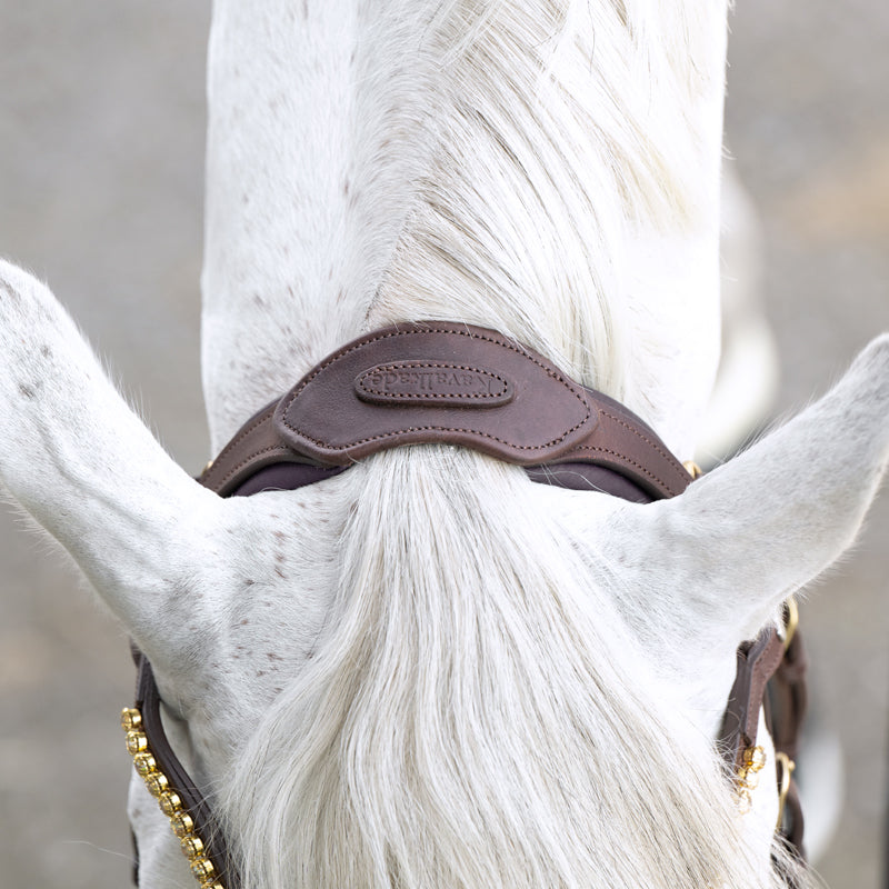 Trense Caliano geöltes Leder