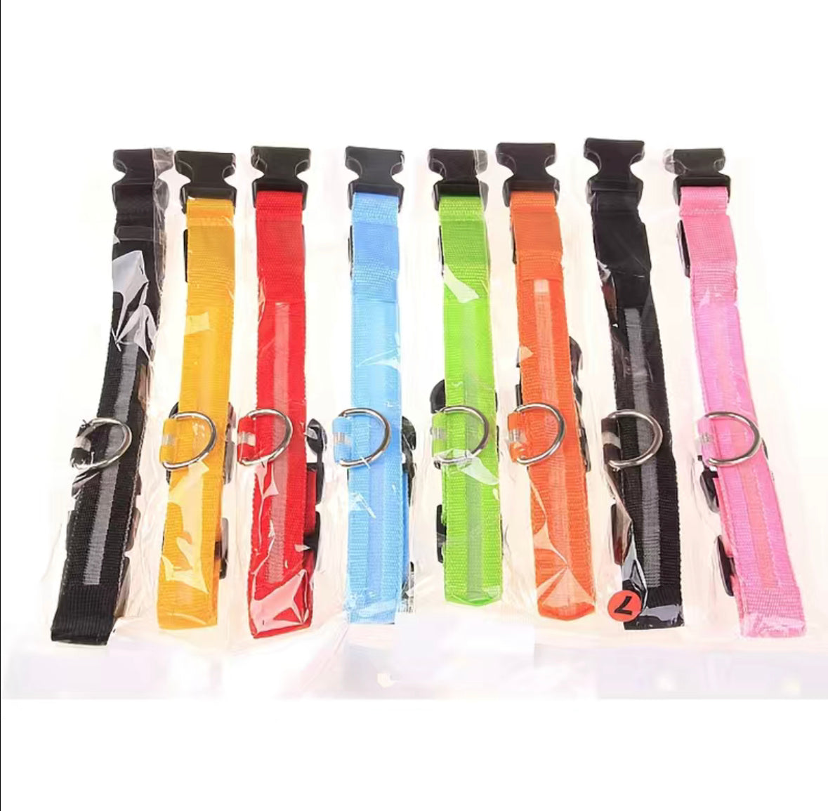 LED Hundehalsband Safety