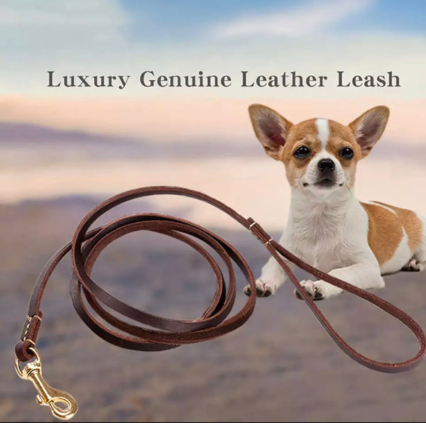 Luxury Leather Leash