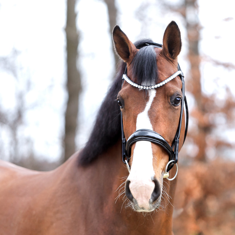 Stirnriemen Floretta