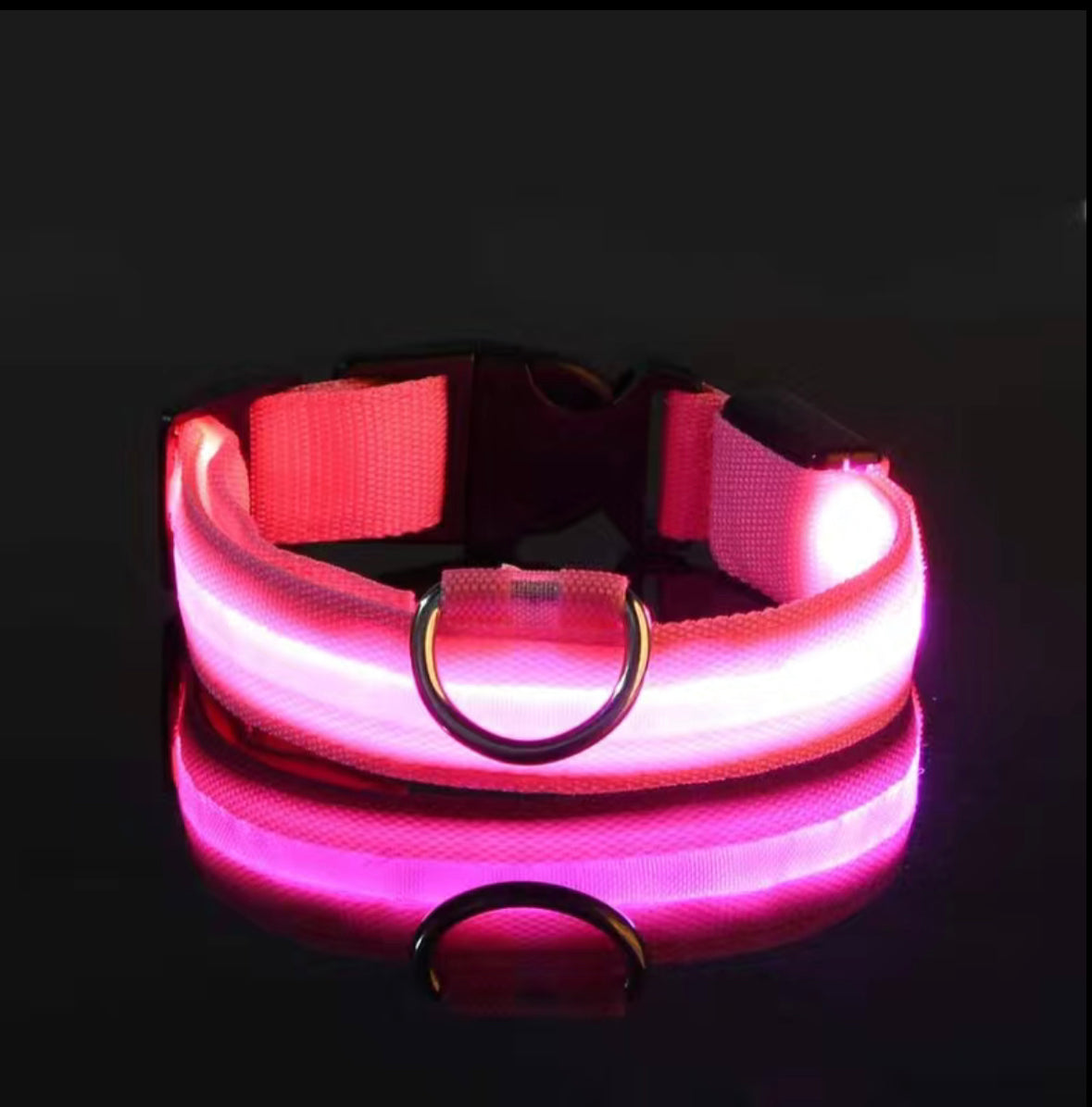 LED Hundehalsband Safety