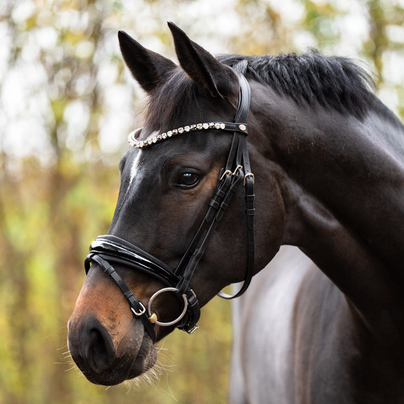 Dressurtrense Zora Lack