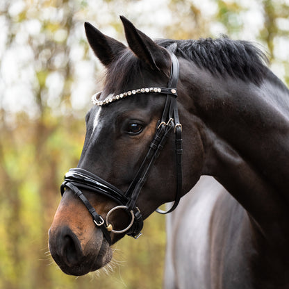 Dressurtrense Zora Lack