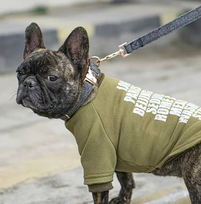 Hundehalsband Brosegold