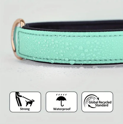Hundehalsband Waterlove