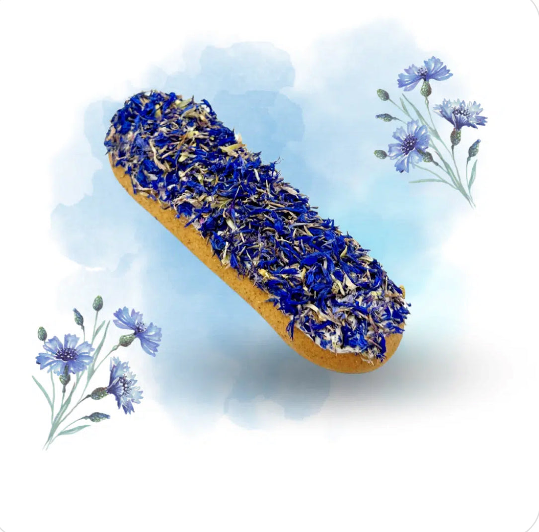 🪻Der Candy Horse Kornblumen-Éclair