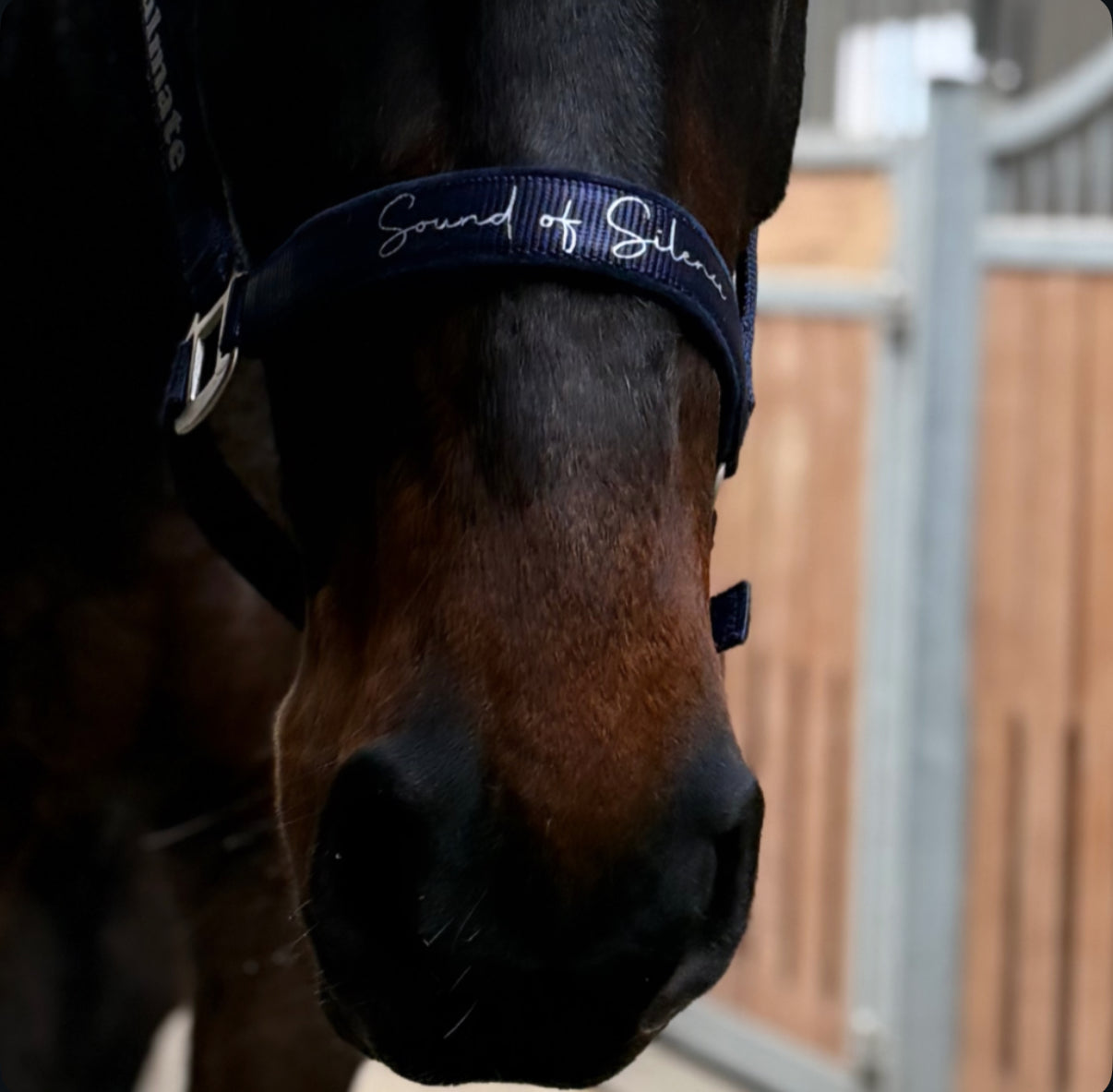 Halfter Satin individuell personalisiert