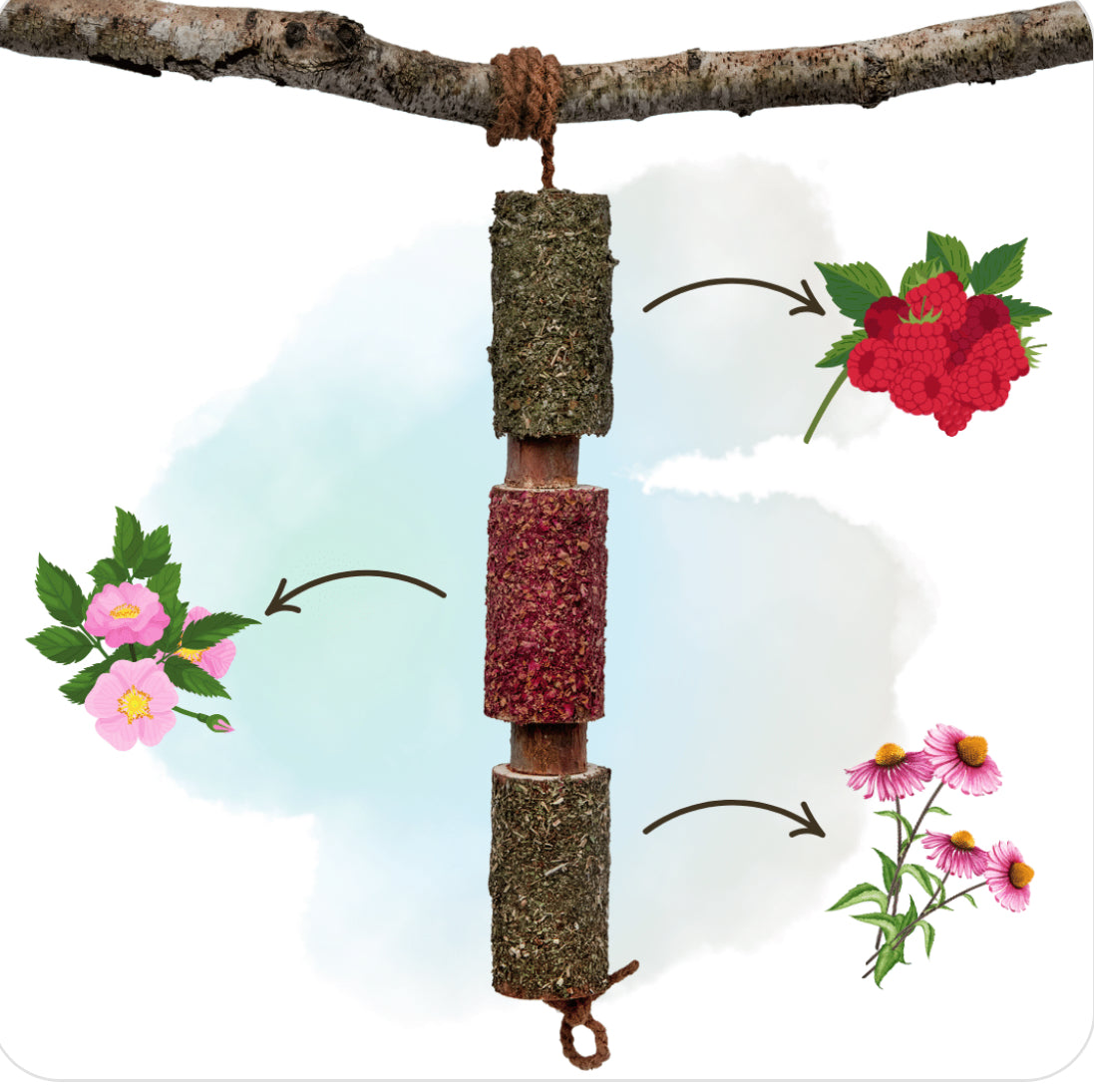 Candy Horse IMMUNITY – Wooden Chewie