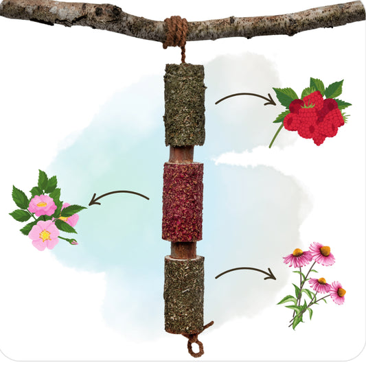 Candy Horse IMMUNITY – Wooden Chewie