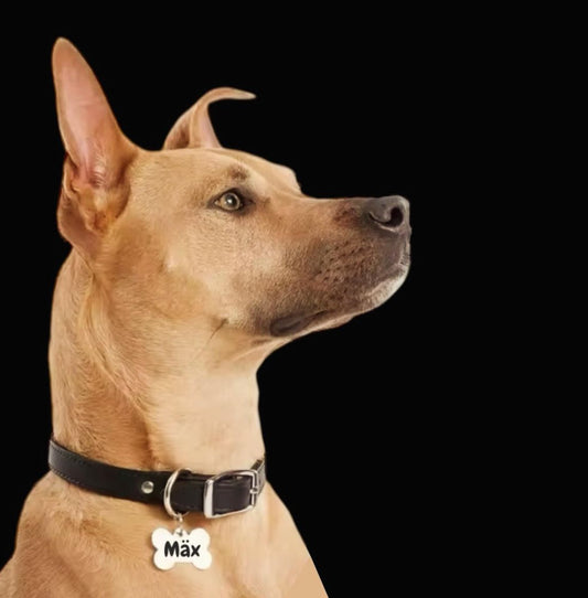 Hundeknochen small individuell graviert