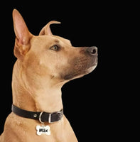 Hundeknochen small individuell graviert
