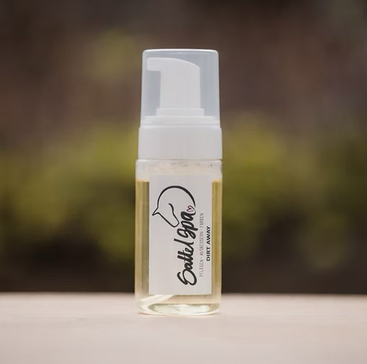 Dirt-Away Schaum 120ml