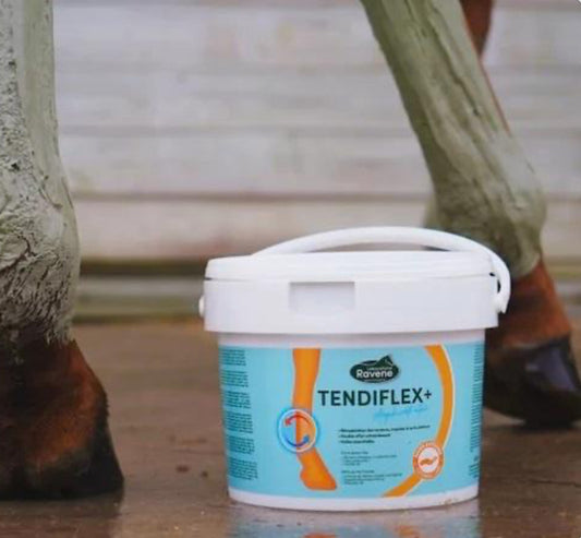 Tendiflex+ Lehmpaste 1.5kg