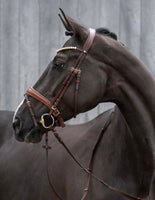 Trense Marrakesh