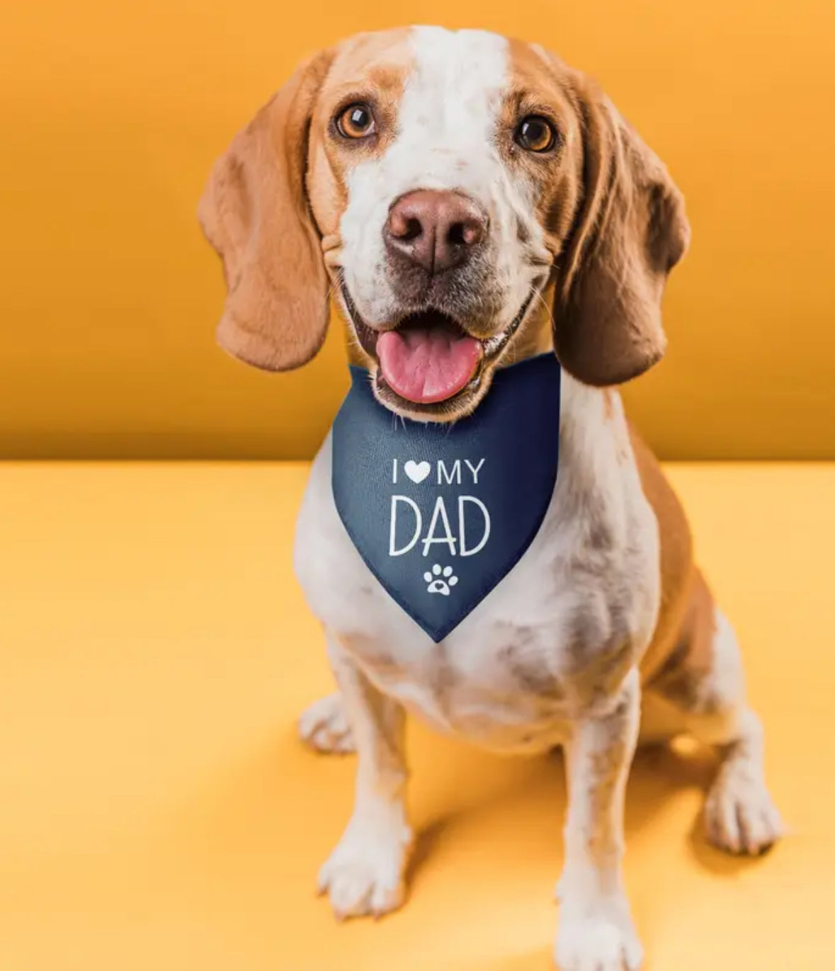 Dog Bandana DAD