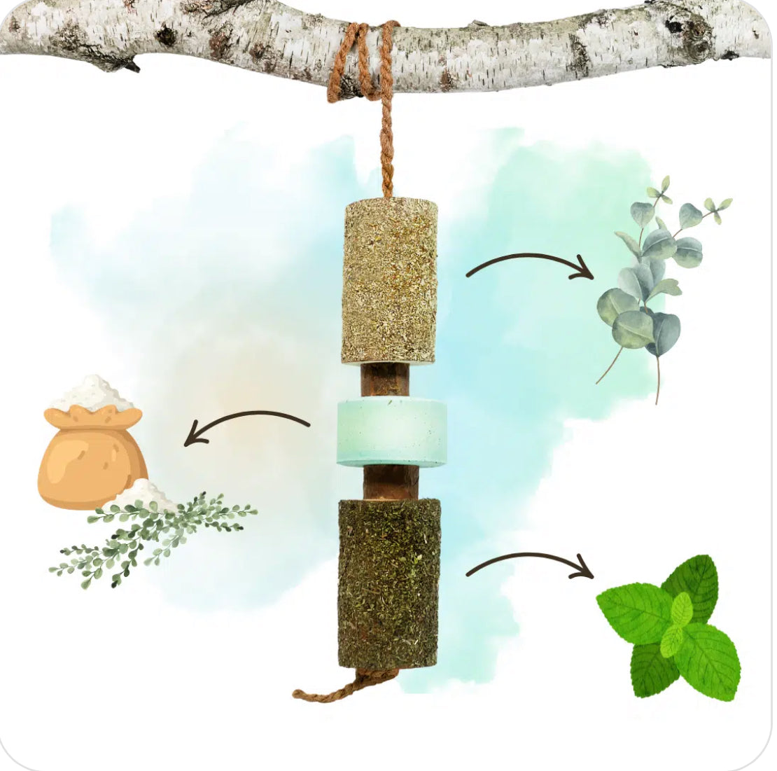 Candy Horse Breath with Salt Lick Wooden Chewie