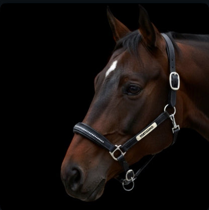 Lederhalfter Diamond mit individueller Gravur