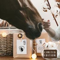 Adventskalender Uniquehorse 𓃗