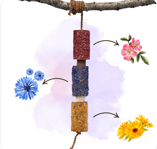 Candy Horse HAPPINESS – Wooden Chewie