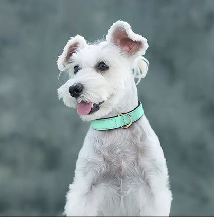 Hundehalsband Waterlove